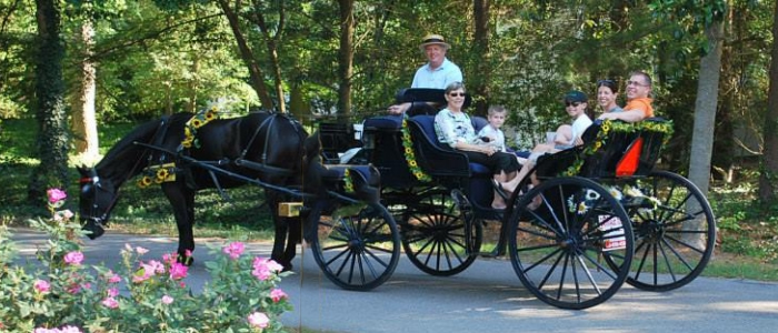 arriage Tours of Pinehurst Village